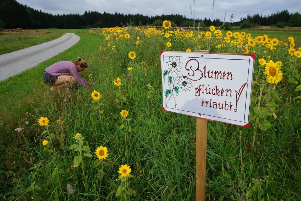Příroda nedaleko venkovského domu