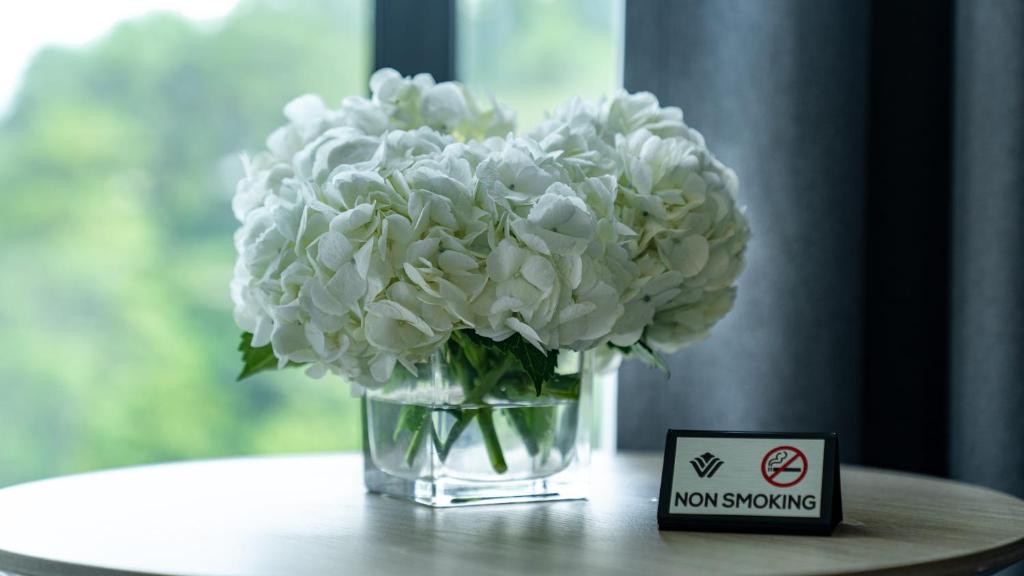 Wyndham Garden Legend Halong - 13