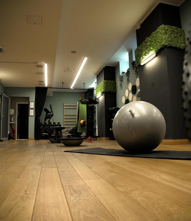 Fitness centrum a/nebo fitness zařízení v ubytování Hotel Eureka