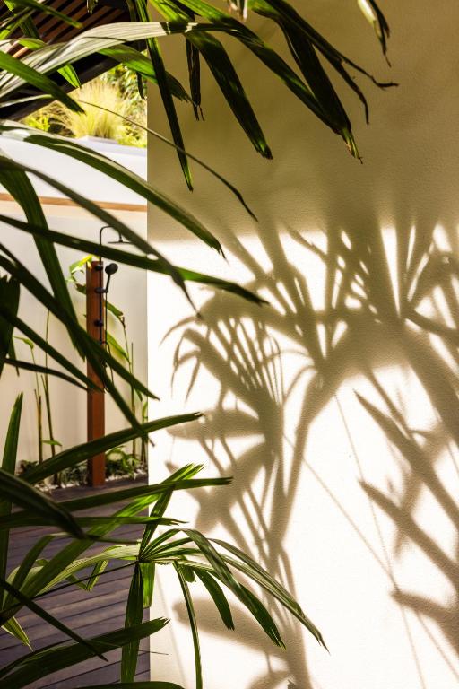 Zahrada ubytování Meraki Lombok Villas