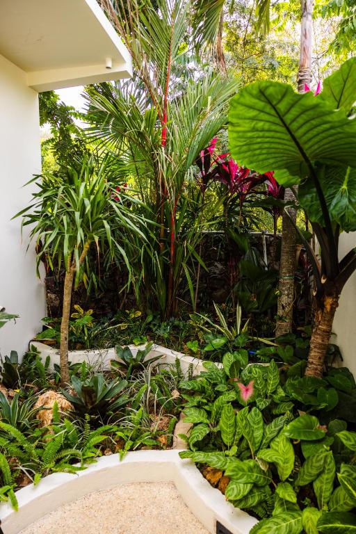 Zahrada ubytování Meraki Lombok Villas