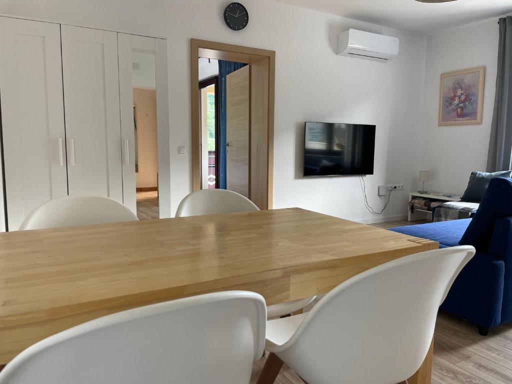 TV a/nebo společenská místnost v ubytování All Seasons Apartments Laško