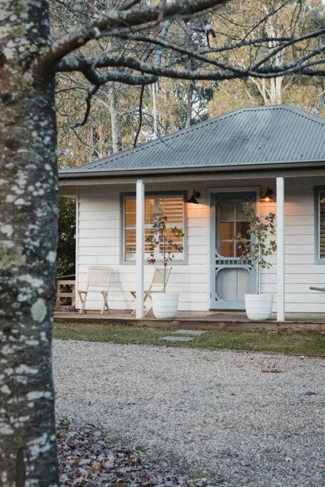 a white house with two plants in pots on the porch at Peony Farm Green Cottage in Stanley