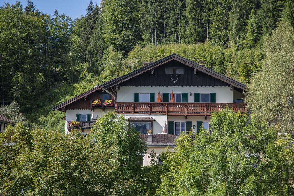 Příroda nedaleko apartmánu
