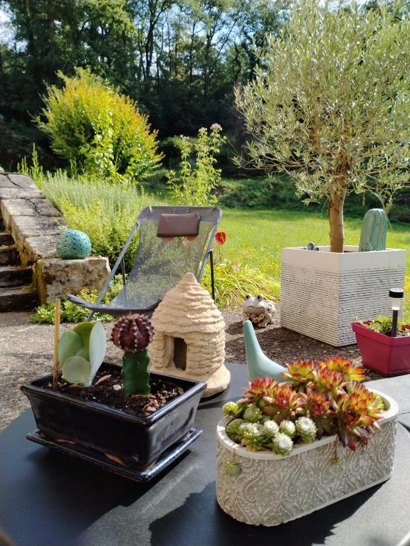 Zahrada ubytování Chambre d'hôtes L'ECRIN DU QUERCY
