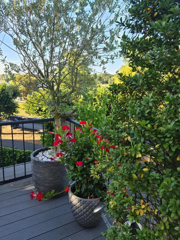 Villahotel Rheinblick - Resim 18