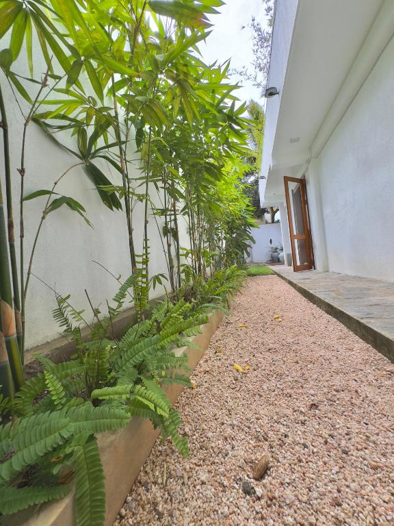 Zahrada ubytování Villa Vikasa Colombo
