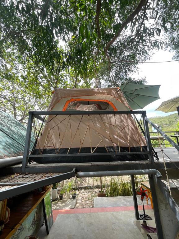 Fotografie z fotogalerie ubytování Mèo Home - Bụi Homestay v destinaci Cam Ranh