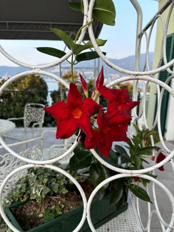 Un balcón o terraza en Albergo Pesce D'oro