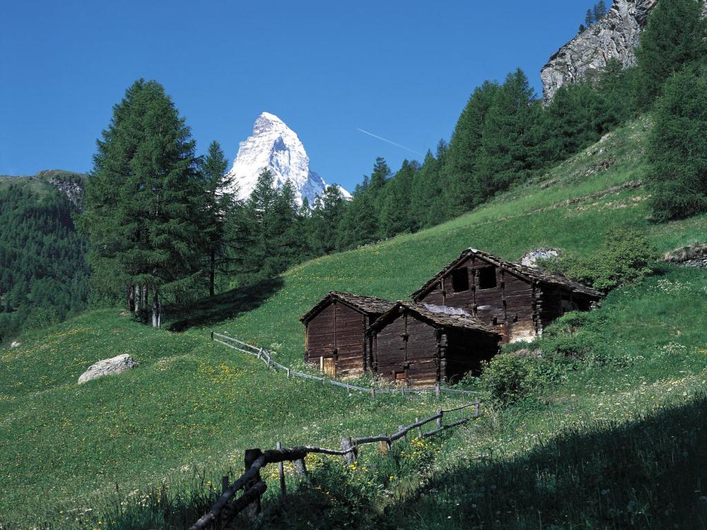 Fotografie z fotogalerie ubytování Apartment Haus Rossignol B Apartment 2E by Interhome v destinaci Zermatt