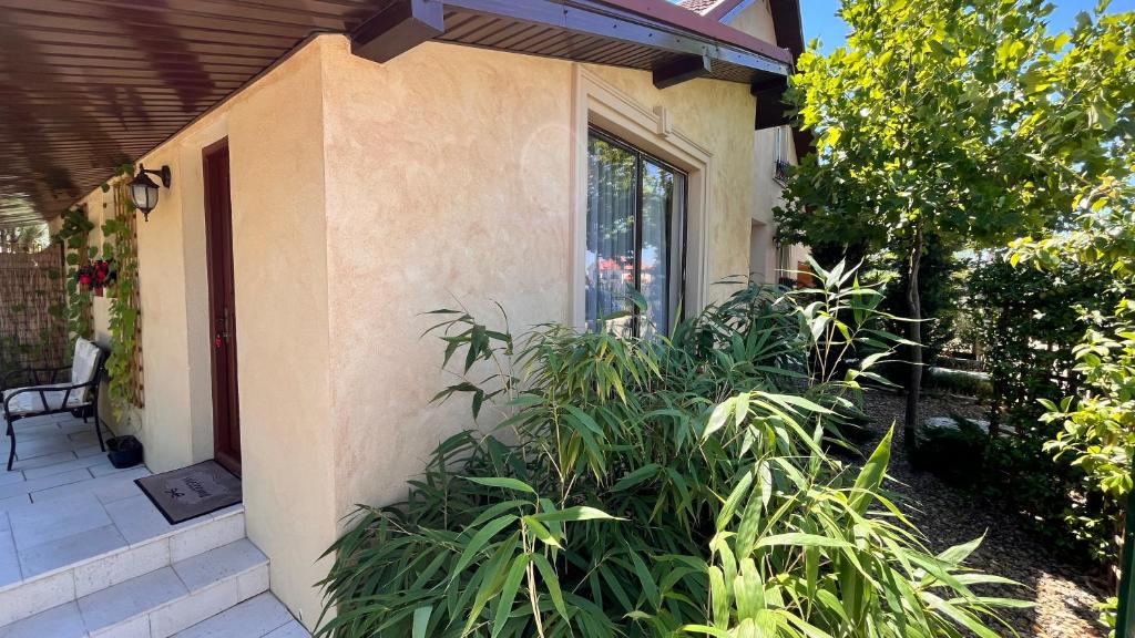 Mediterana Studio next to Baile Felix - 一居室公寓