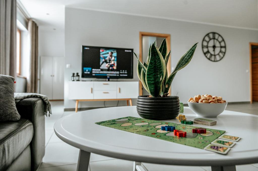 TV a/nebo společenská místnost v ubytování Apartamenty 66 c