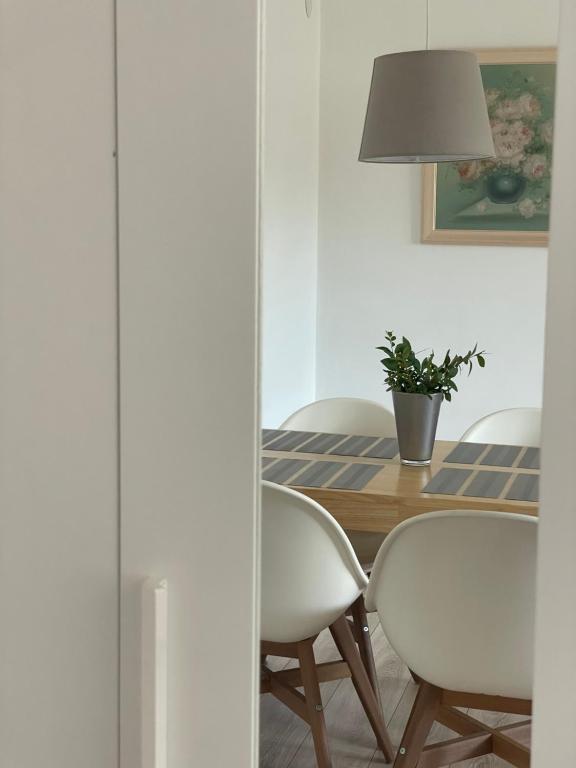 Fotografie z fotogalerie ubytování All Seasons Apartments Laško v destinaci Laško