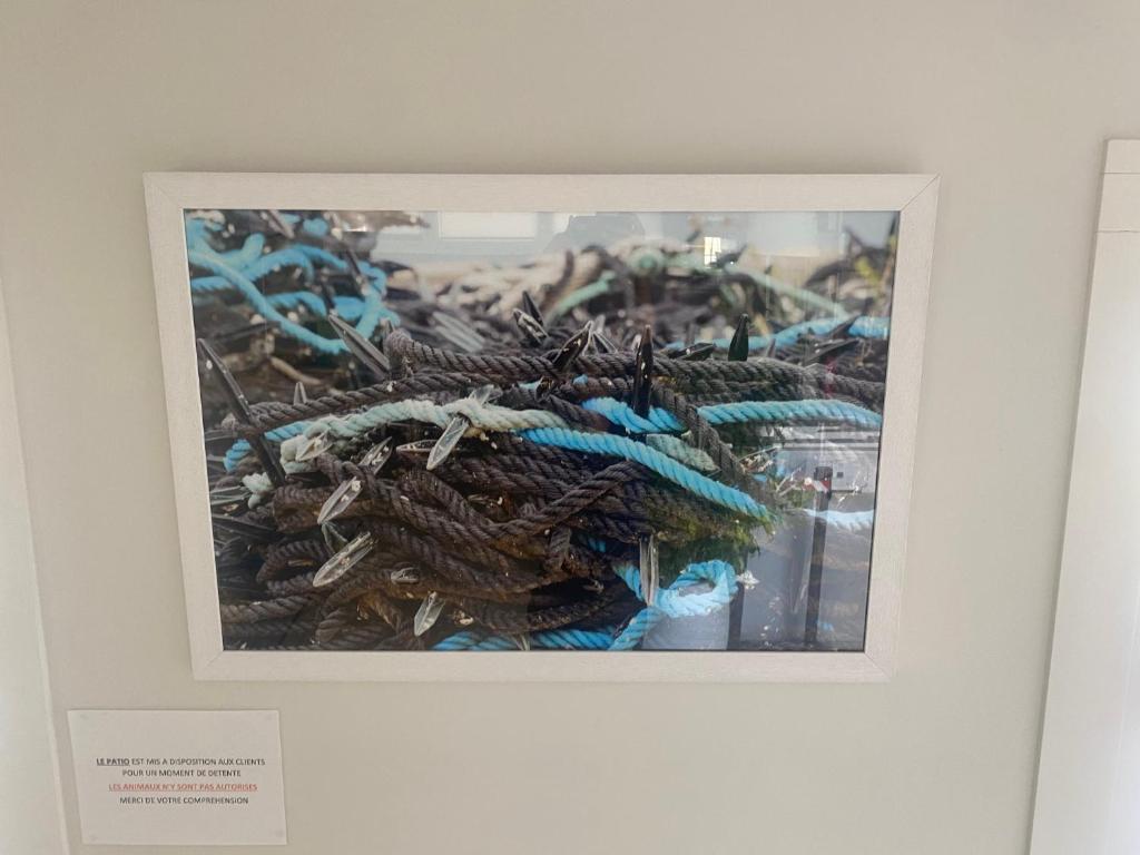 Fotografie z fotogalerie ubytování Douce France v destinaci Cuxac-dʼAude