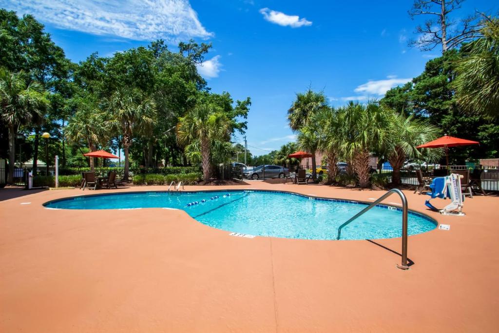 a swimming pool at a resort with palm trees at Red Roof Inn Myrtle Beach Hotel - Market Commons in Myrtle Beach