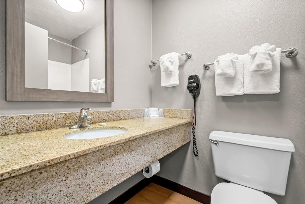 a bathroom with a sink and a toilet and a mirror at Red Roof Inn Myrtle Beach Hotel - Market Commons in Myrtle Beach