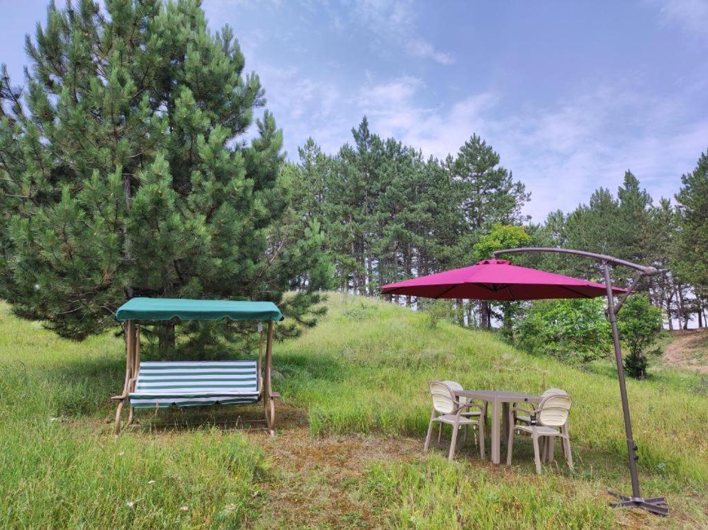 Zahrada ubytování Green Camping Akhaltsikhe