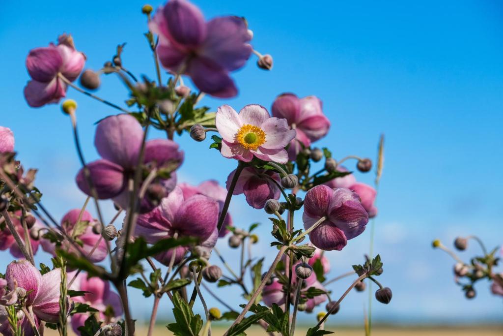 Fotografie z fotogalerie ubytování Lantligt gästrum med gratis wifi & bastu v destinaci Motala