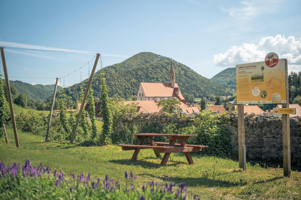 Príroda v okolí hotela