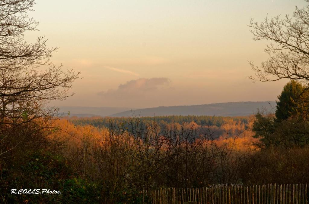 an autumn view of a field with trees and a fence at Linfinity in Baillonville