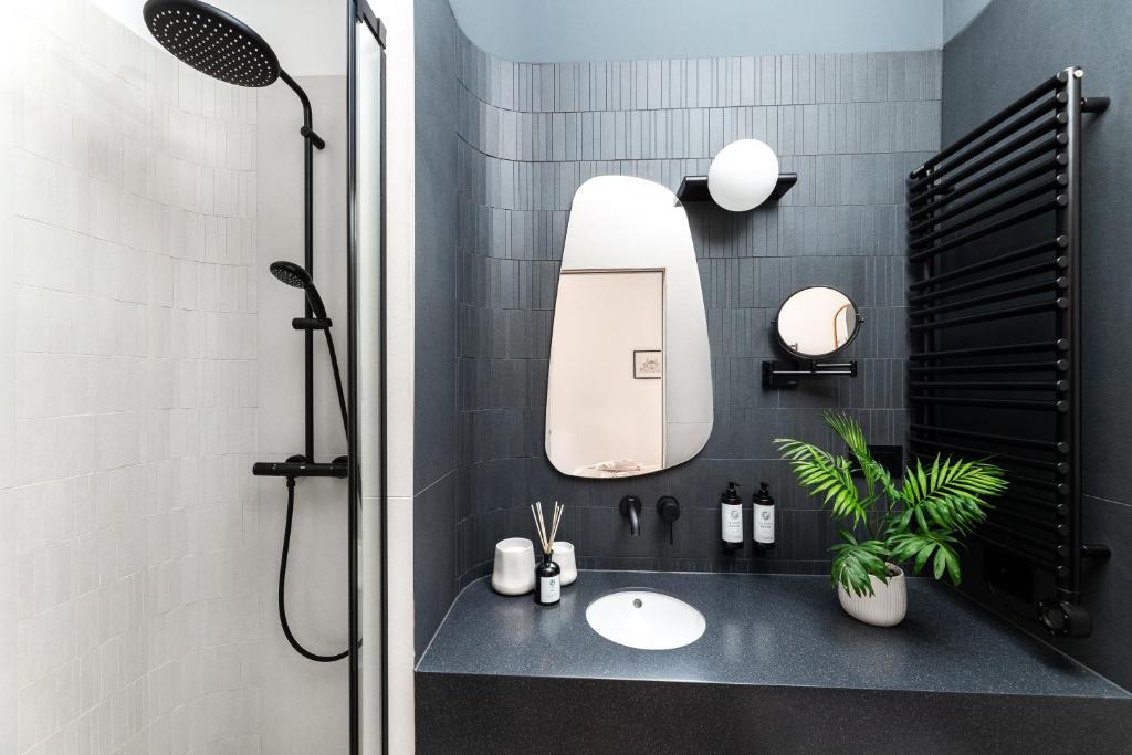 Catalog Boutique Rooms Cluj-Napoca - 優れたダブルルーム