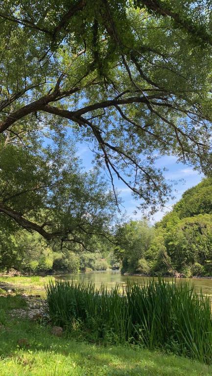 Fotografie z fotogalerie ubytování Sana river camp v destinaci Ključ