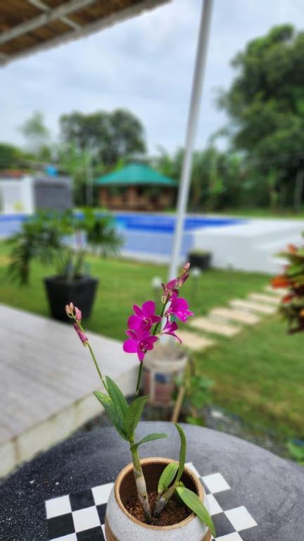 a flower in a pot sitting on a table at Benido Farm - A Secret Haven in San Jose