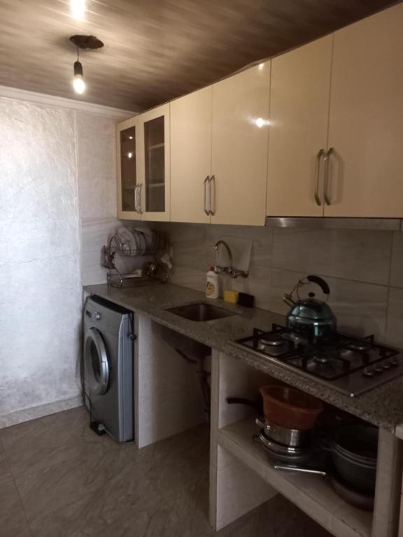 Kuchyň nebo kuchyňský kout v ubytování Hotel Lika