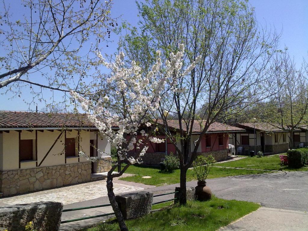 Camping Al-Bereka - Bungalow (3 Adults)