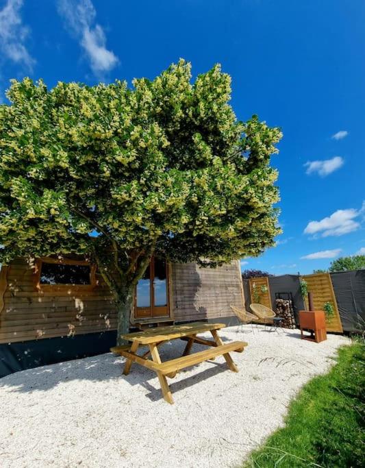 - une table de pique-nique en bois sous un arbre à côté d'un bâtiment dans l'établissement Tiny House Petite Balnéo Cheminée exterieure, à Lisle-sur-Tarn