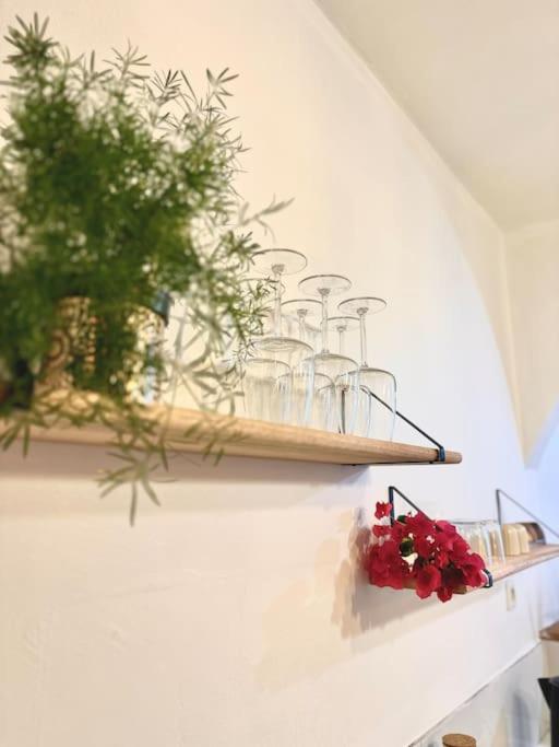 Fotografie z fotogalerie ubytování Maison Heiwa v destinaci Schoelcher