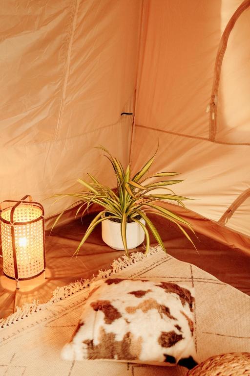 Fotografie z fotogalerie ubytování Campgrounds at Mantalongon v destinaci Dalaguete