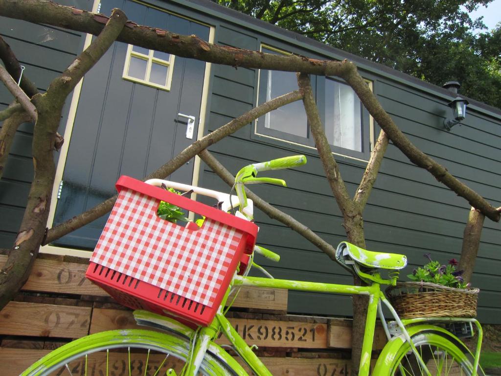 una bicicletta verde con un cesto parcheggiato di fronte a una casa di Pipowagen Minicamping De Linde a Merselo
