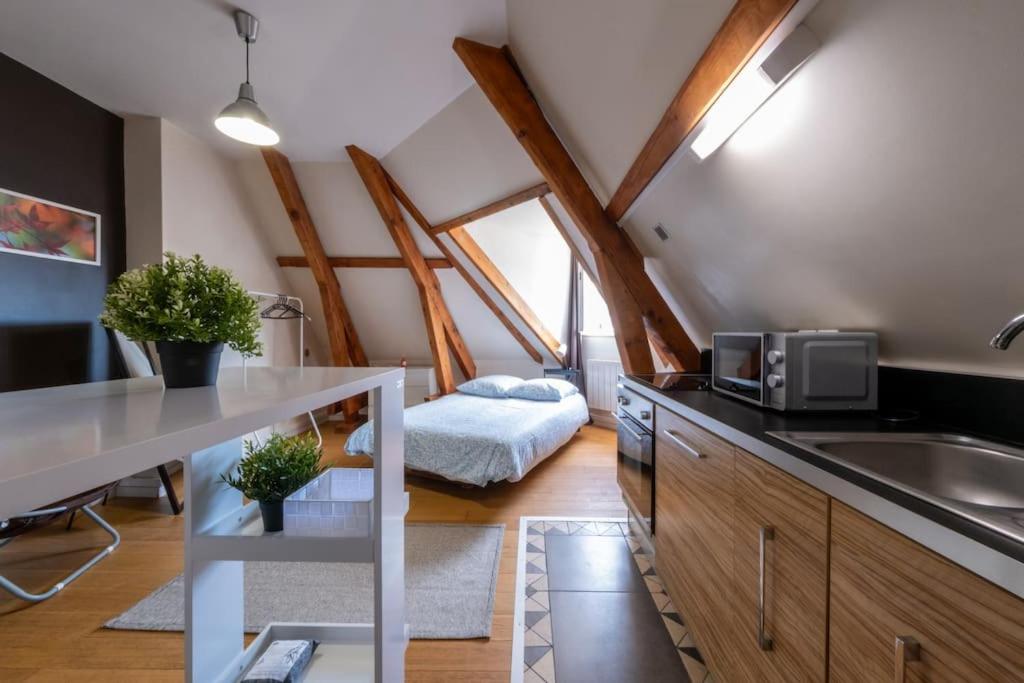Køkken eller tekøkken på Saint -Louis 3 -centre ville-studette