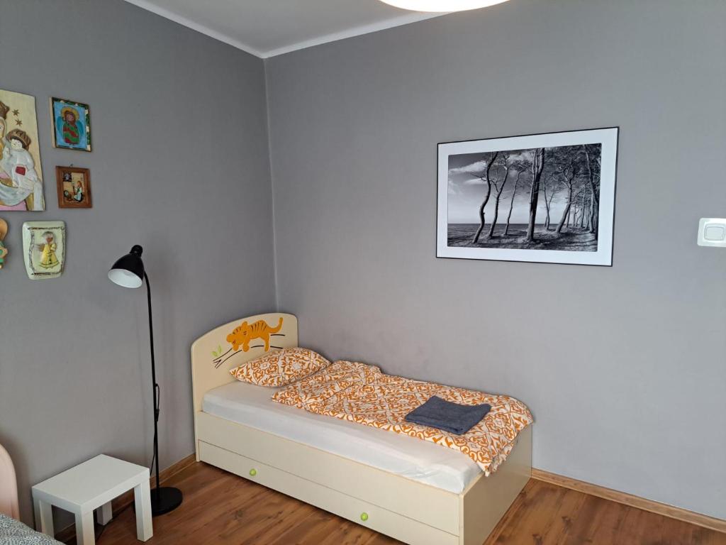 Comfortable Apartment close to Spodek - 7