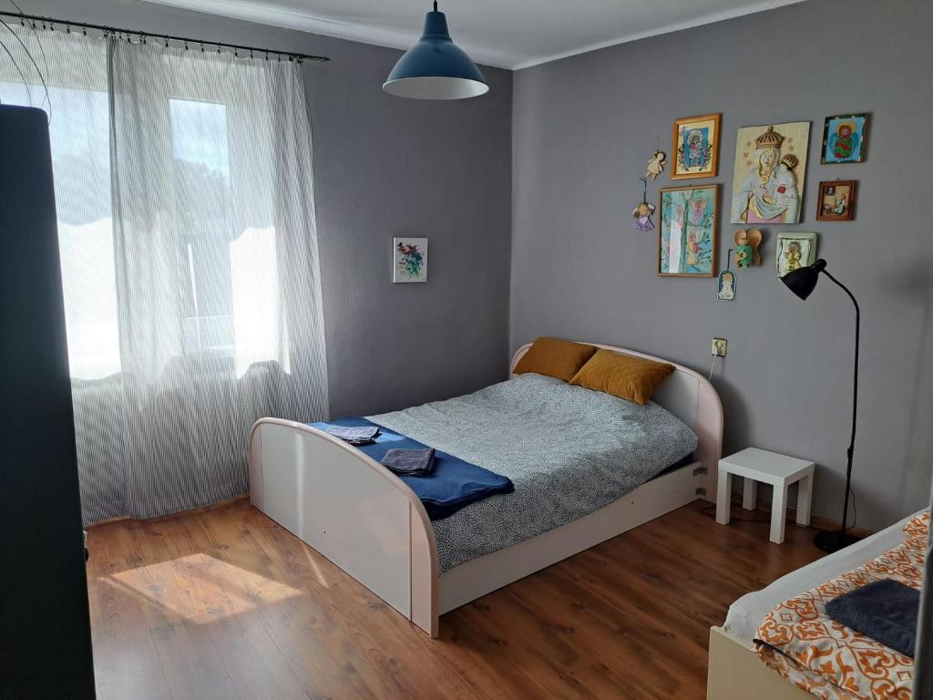 Comfortable Apartment close to Spodek - 6