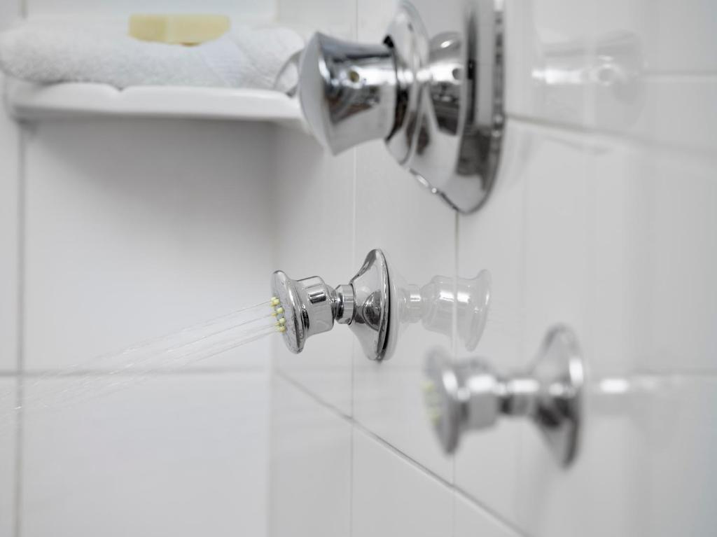 Metterra Hotel on Whyte - Resim 43