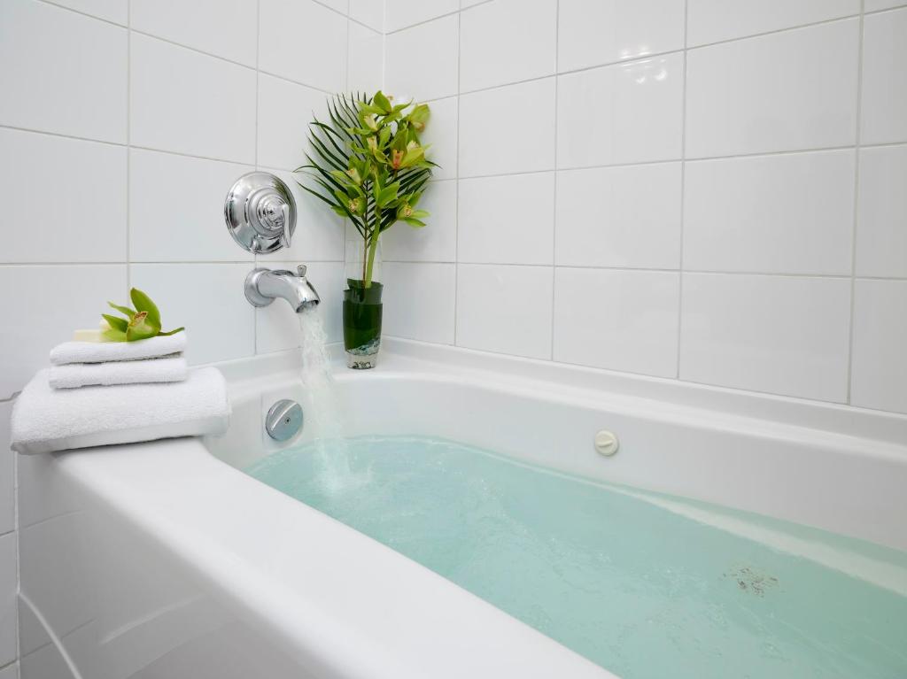 Metterra Hotel on Whyte - Resim 20