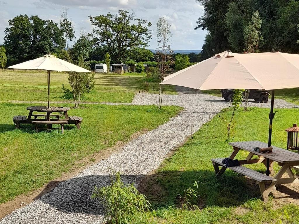 Příroda nedaleko luxury tent