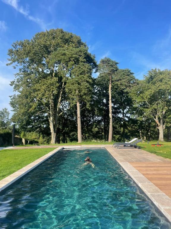 osoba pływająca w basenie w obiekcie Petit Marigny - Belle maison pour 10 voyageurs w mieście Alexain