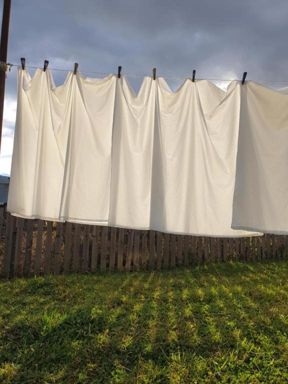 Foto de la galeria de Cozy Qorte a Lentekhi