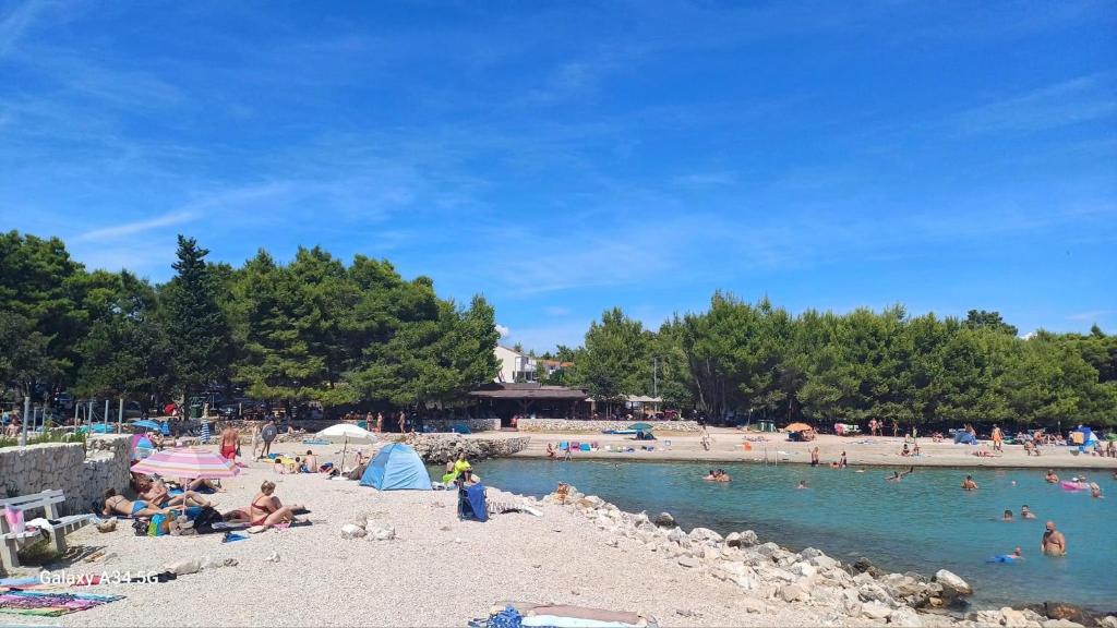 Príroda v okolí apartmánu