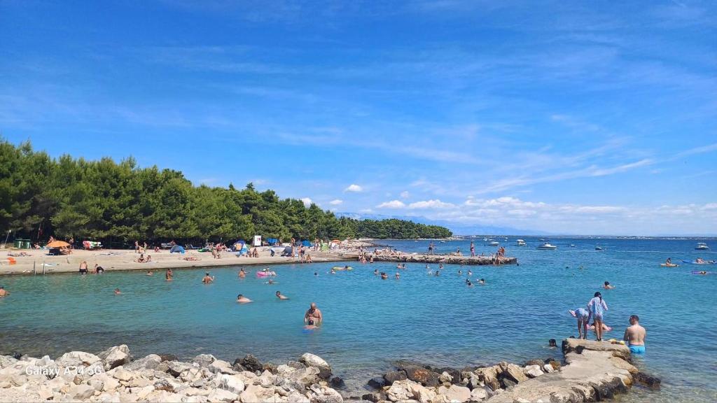 Príroda v okolí apartmánu