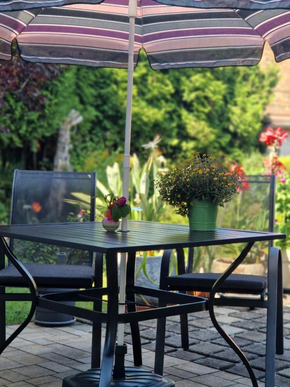 Zahrada ubytování Ferienwohnung Relax