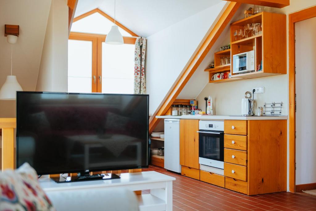 Kuchyň nebo kuchyňský kout v ubytování Penzion U maléřa