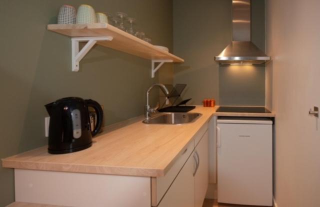 Kuchyň nebo kuchyňský kout v ubytování Greenstudio