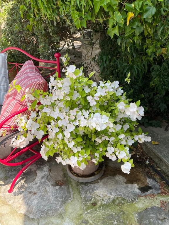 La Borie en Provence - 19