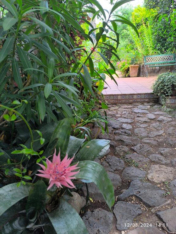 Zahrada ubytování Casa Flora Garden Studio (Gite)