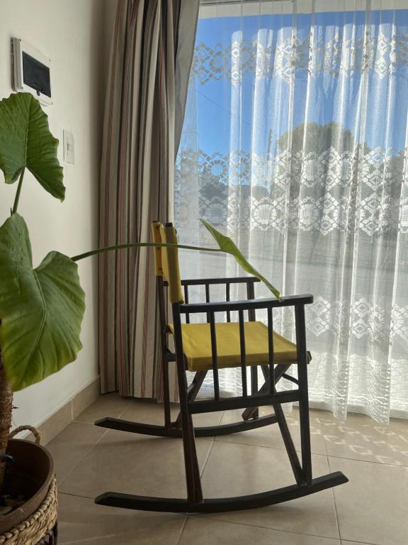 una silla frente a una ventana con una planta en Loft D-Oro, en Comodoro Rivadavia