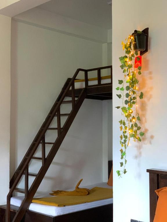 Fotografie z fotogalerie ubytování Green Leaf Resort v destinaci Ella